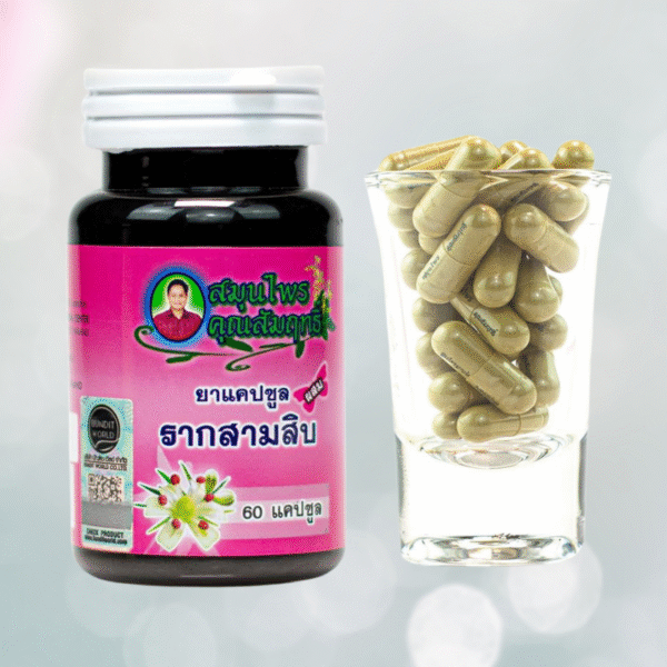 Rak-Samsib沙塔瓦里🇹🇭